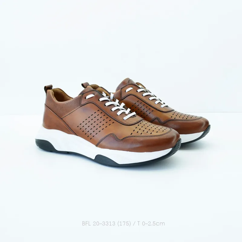 BFL 20-3313