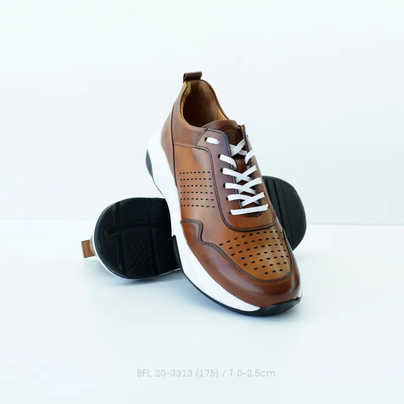 BFL 20-3313