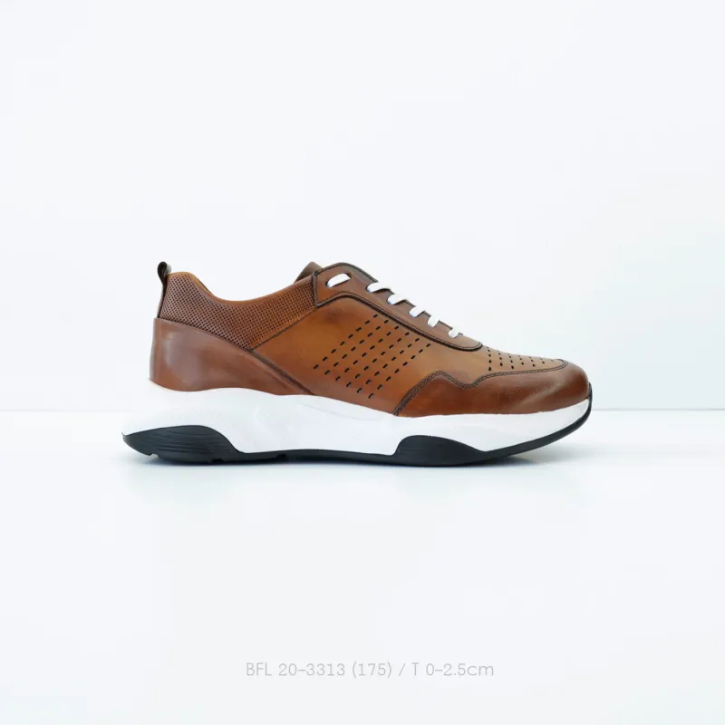 BFL 20-3313
