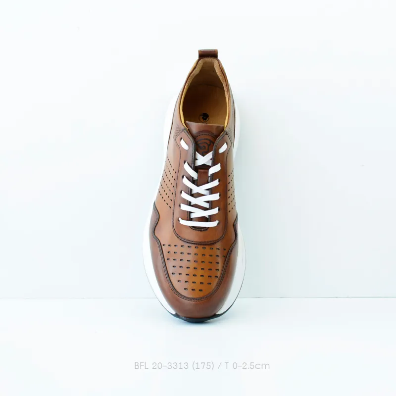 BFL 20-3313