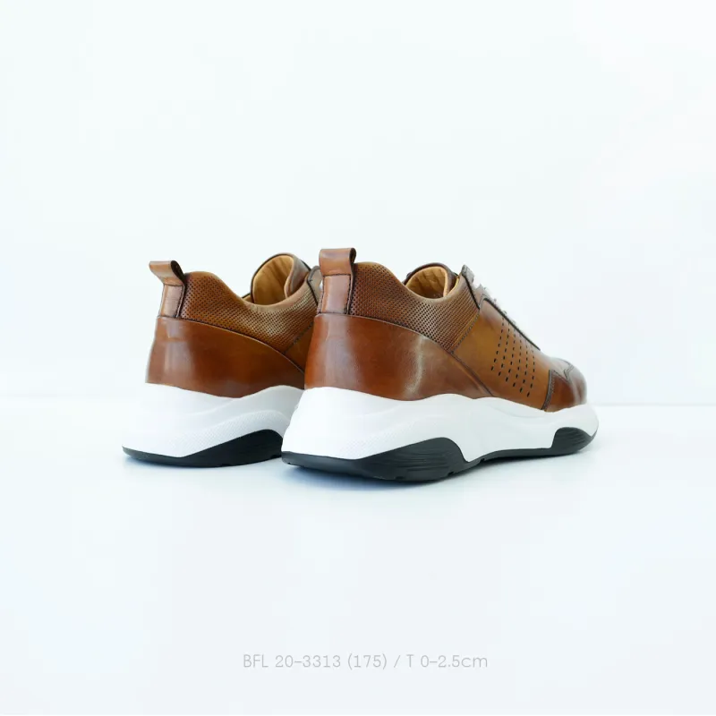 BFL 20-3313
