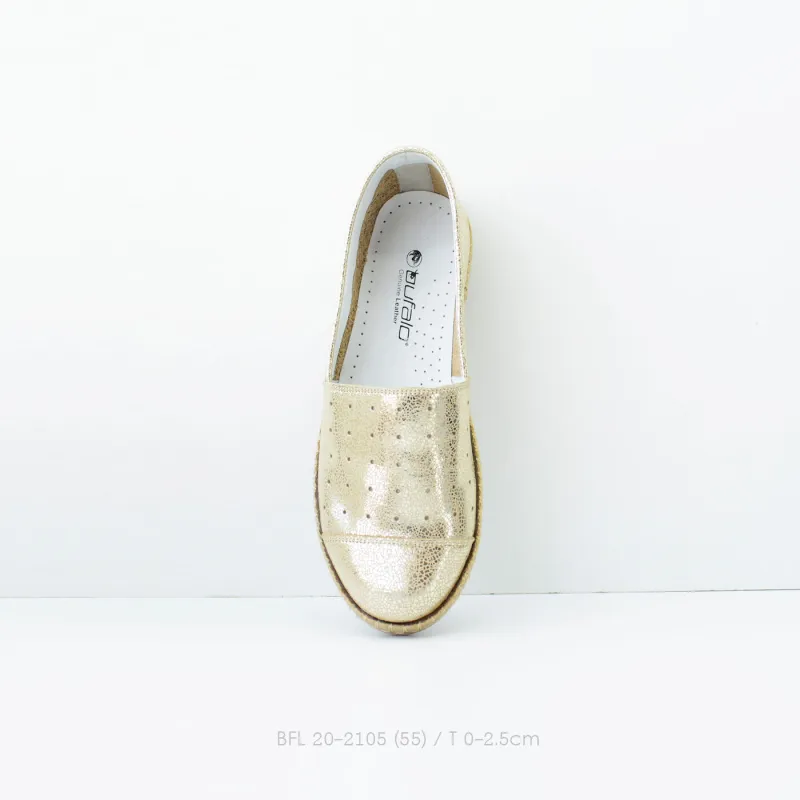 BFL 20-2105