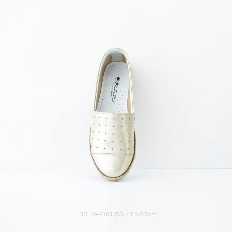 BFL 20-2105