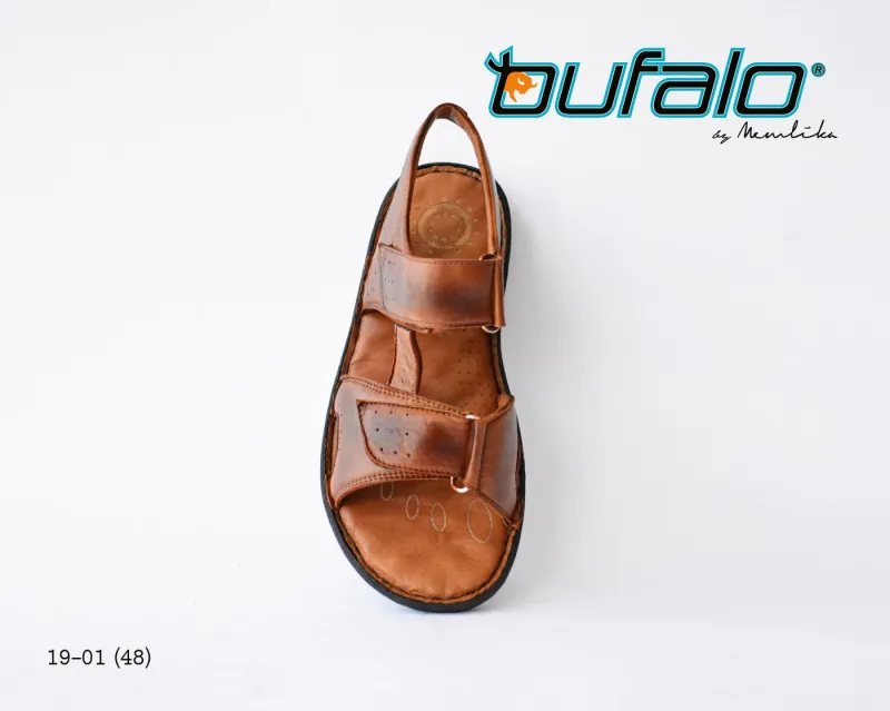 BFL 19-01