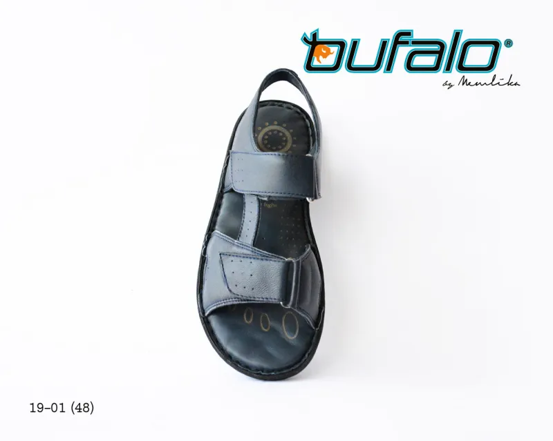 BFL 19-01
