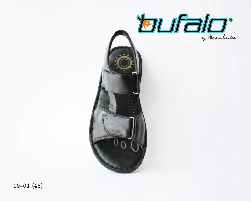 BFL 19-01