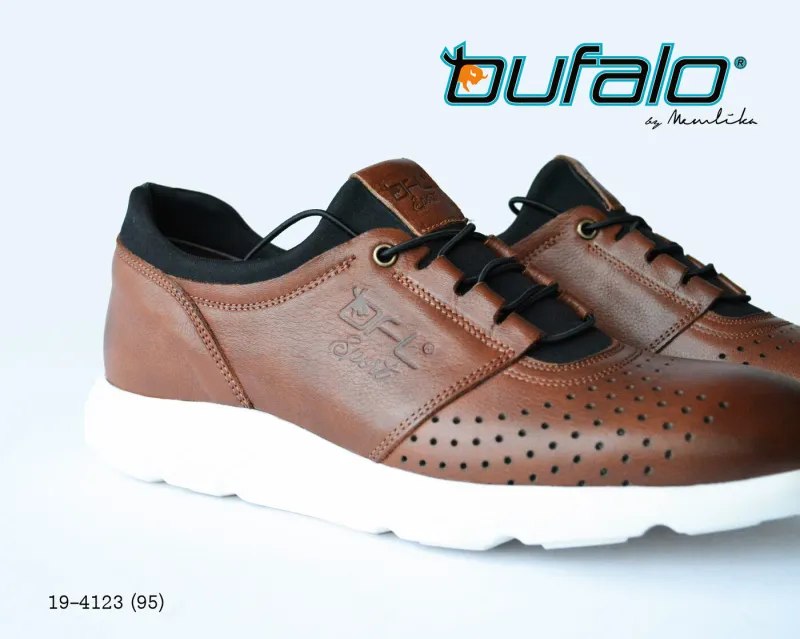 BFL 19-4123