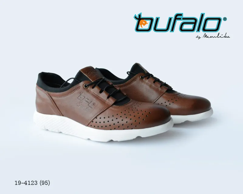 BFL 19-4123