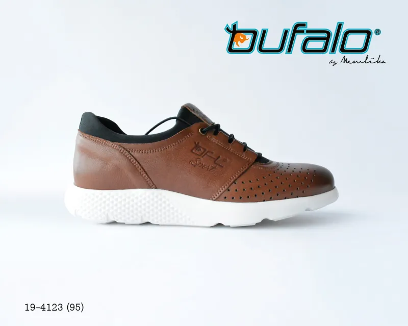 BFL 19-4123