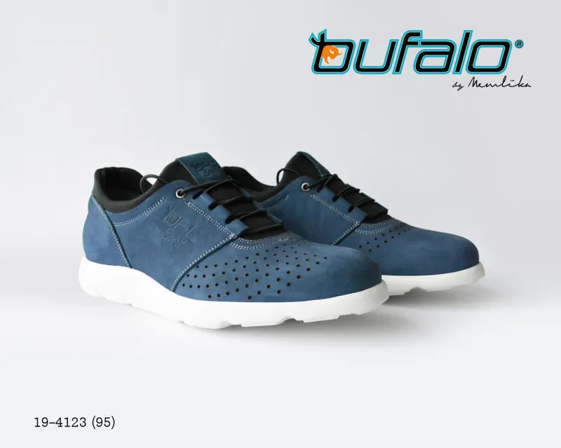 BFL 19-4123