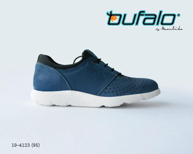 BFL 19-4123