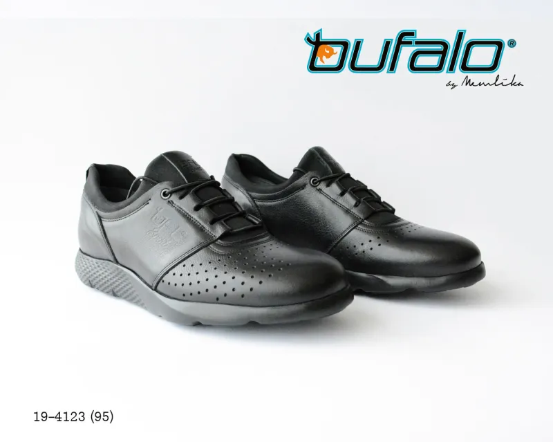 BFL 19-4123
