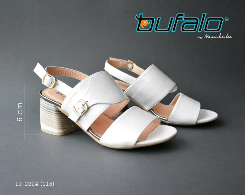 BFL 19-2324