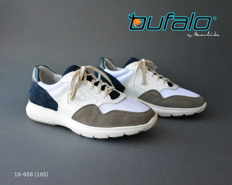 BFL 19-958