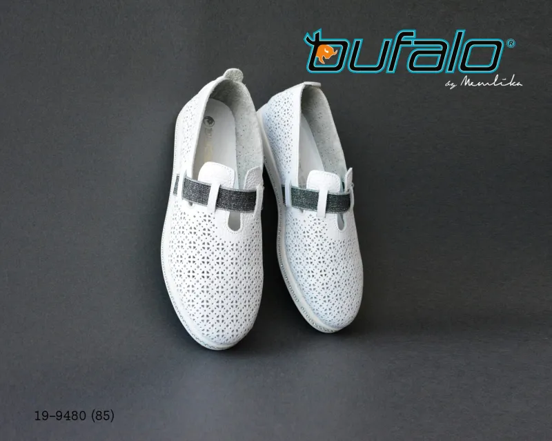 BFL 19-9480
