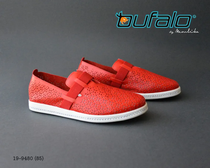 BFL 19-9480