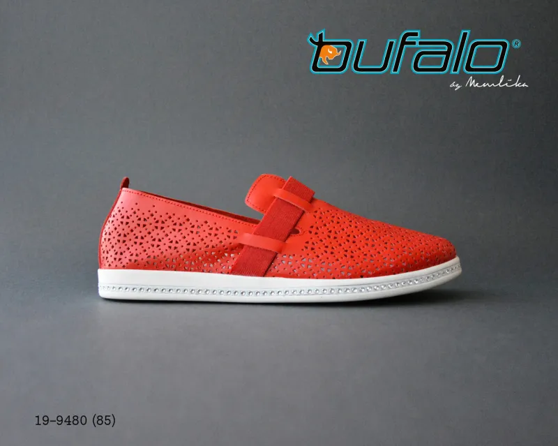 BFL 19-9480