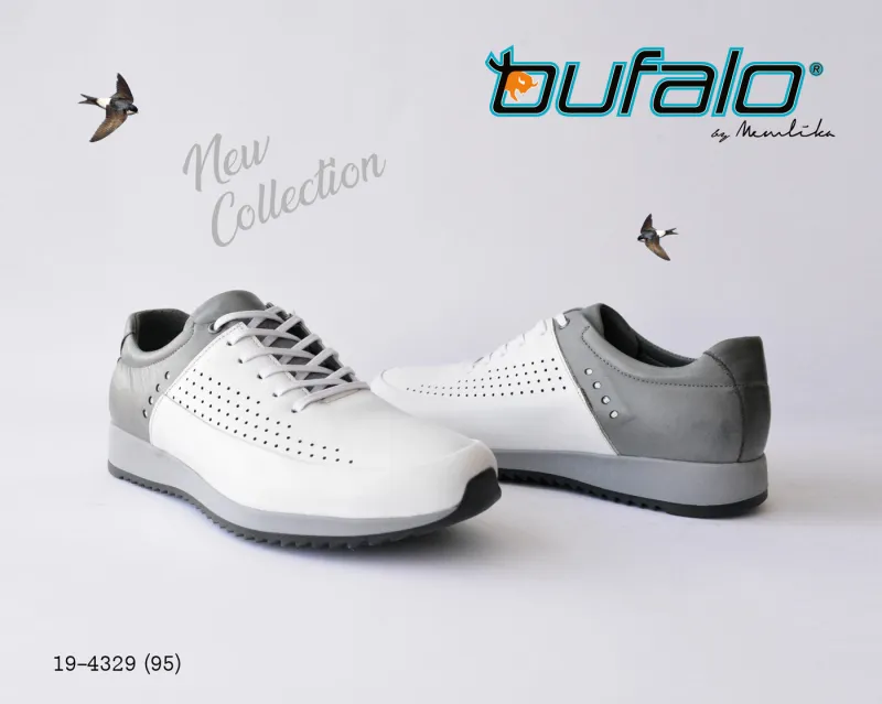 BFL 19-4329