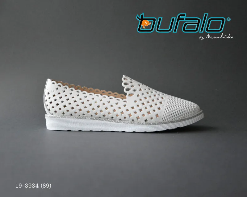 BFL 19-3934