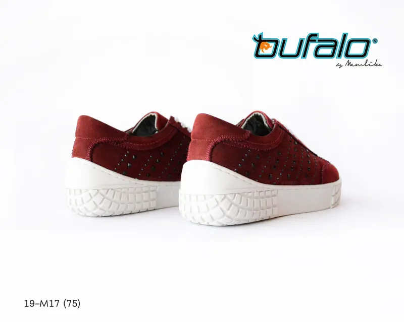 BFL 19-M17