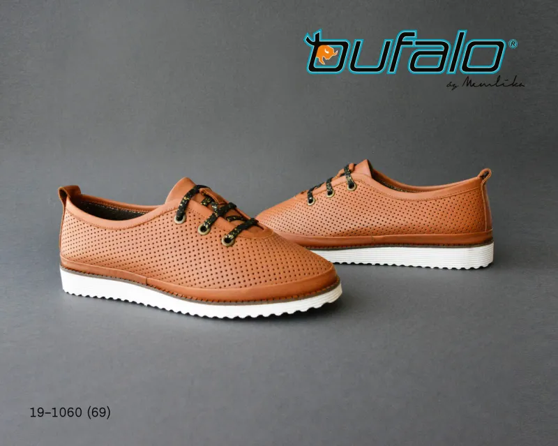 BFL 19-1060