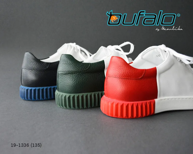 BFL 19-1336