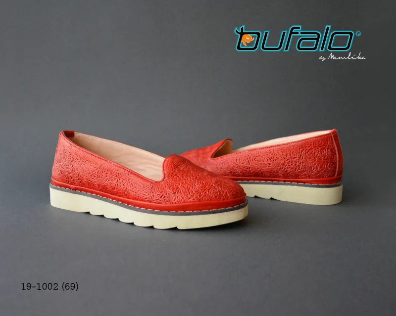 BFL 19-1002