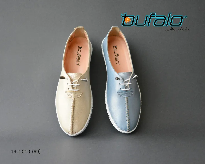 BFL 19-1010