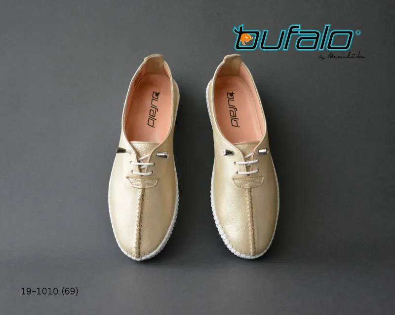 BFL 19-1010