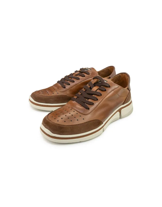 BFL 2408 M TAN