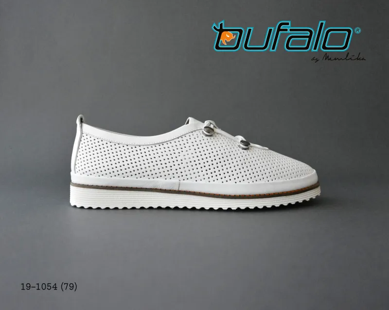 BFL 19-1054