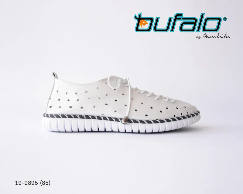 BFL 19-9895