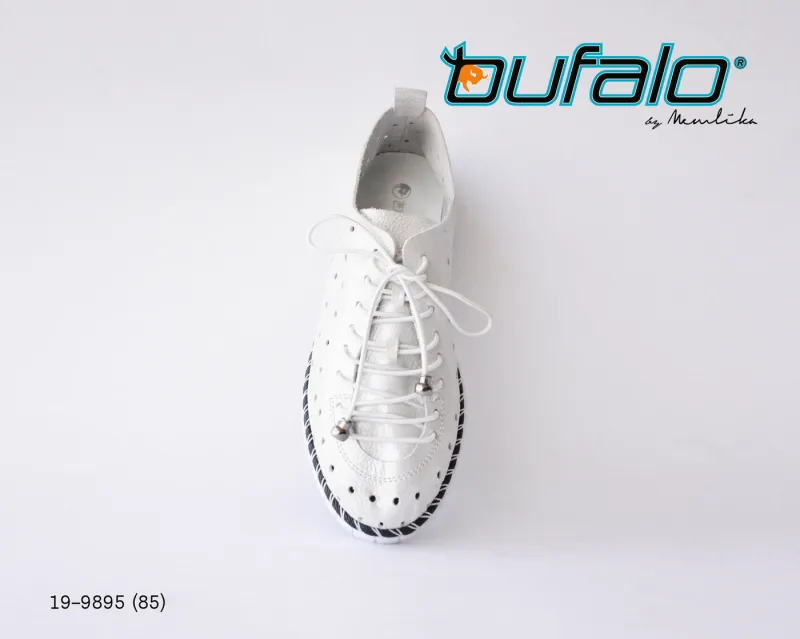 BFL 19-9895