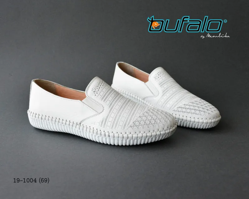 BFL 19-1004