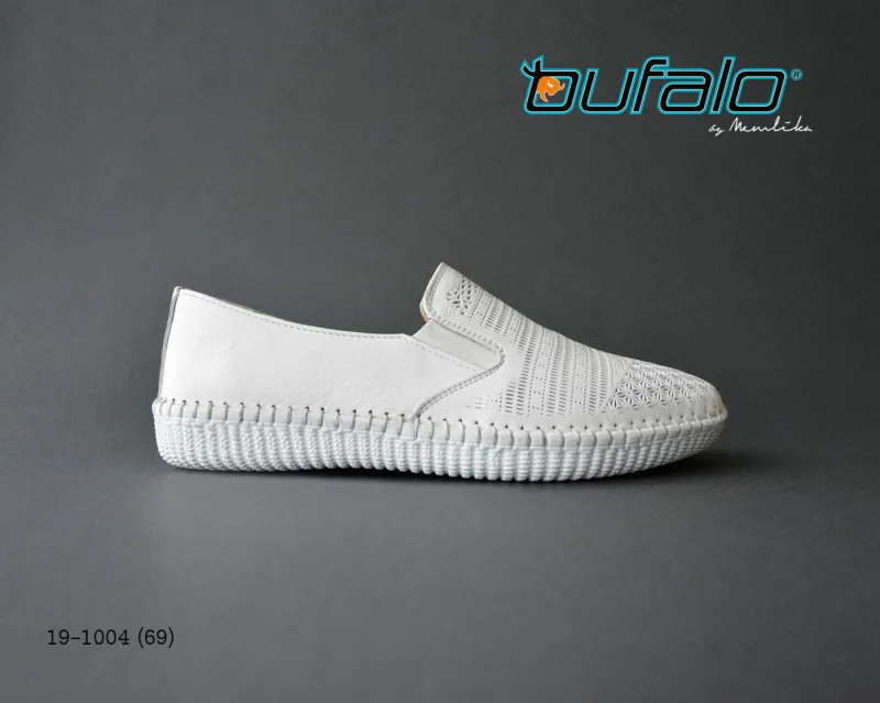 BFL 19-1004