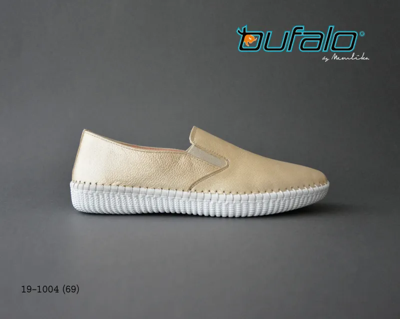 BFL 19-1004