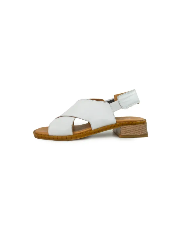 BFL 1296 W WHITE