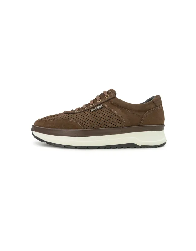 BFL 3039-1 M BROWN