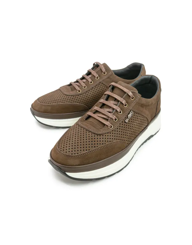 BFL 3039-1 M BROWN