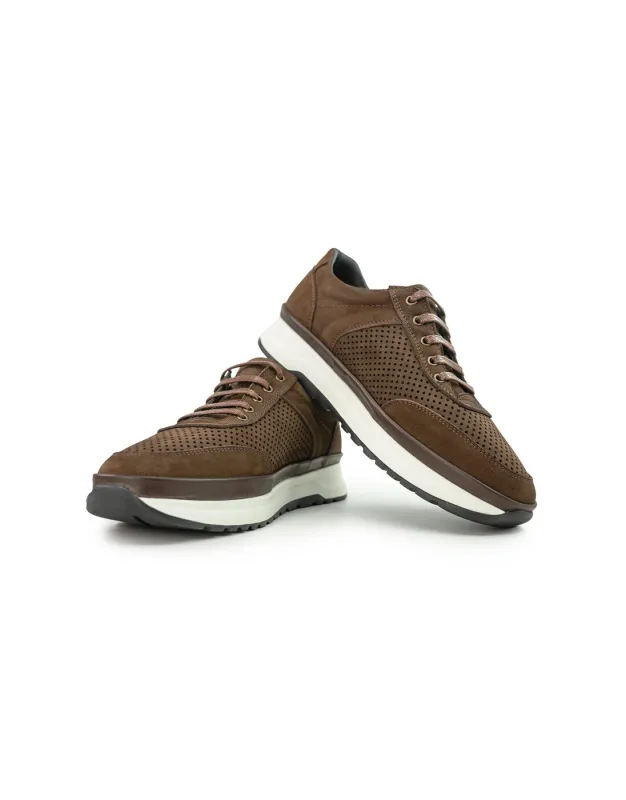 BFL 3039-1 M BROWN