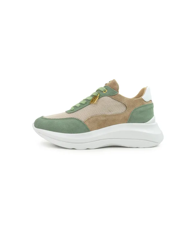 BFL 1069-33 W GREEN