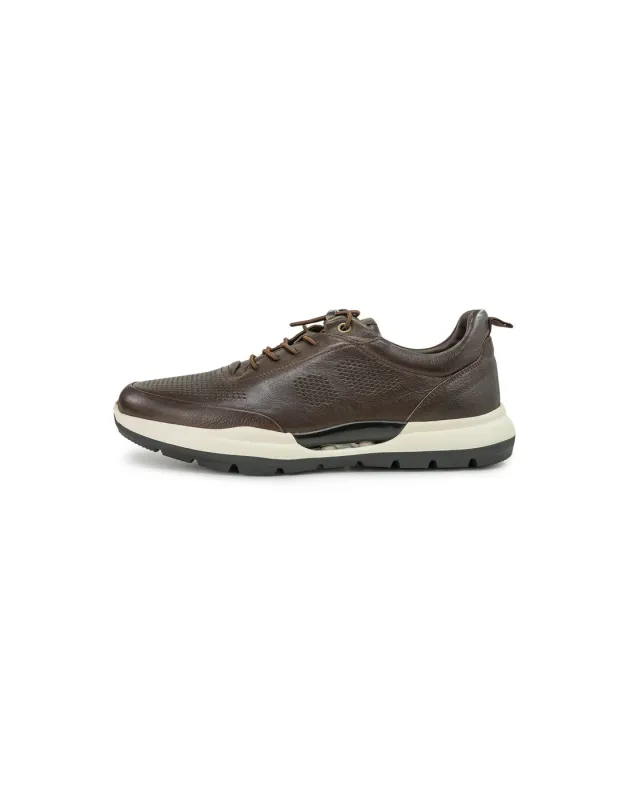 BFL 5225 M BROWN
