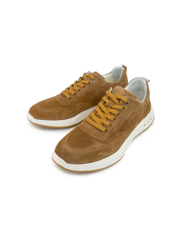 BFL 1001 M TAN