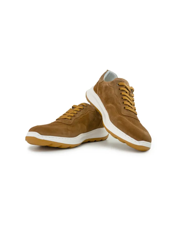 BFL 1001 M TAN