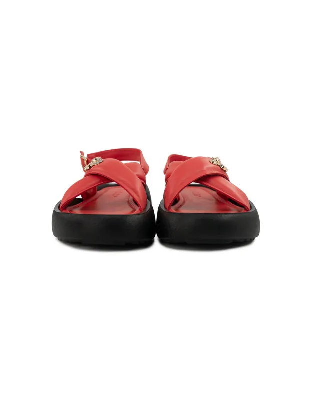 BFL 24-1404 W RED