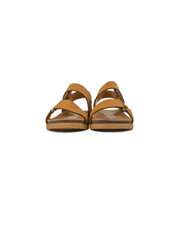 BFL 24-2152 K CAMEL