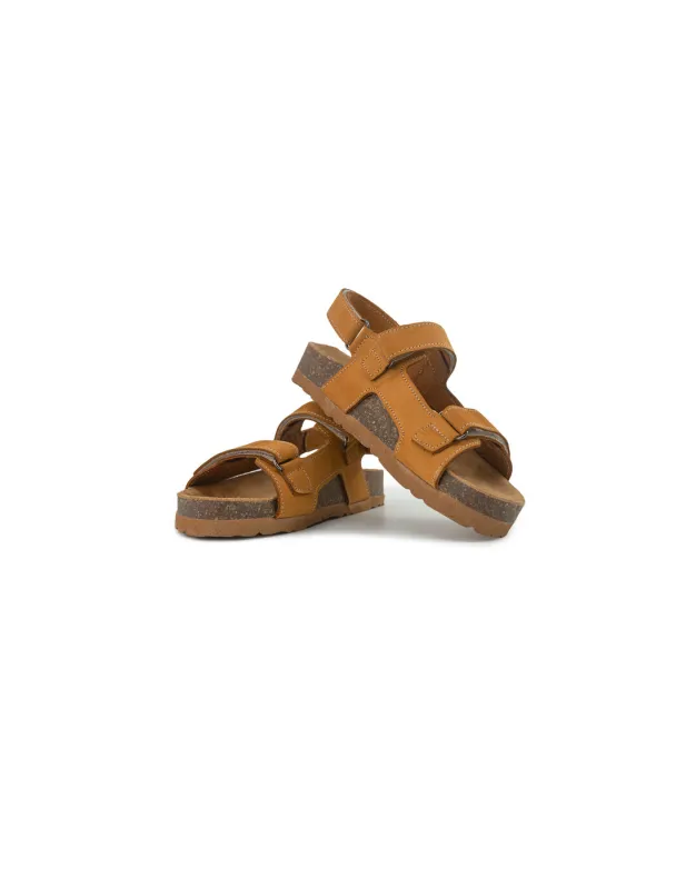 BFL 24-2403 K CAMEL