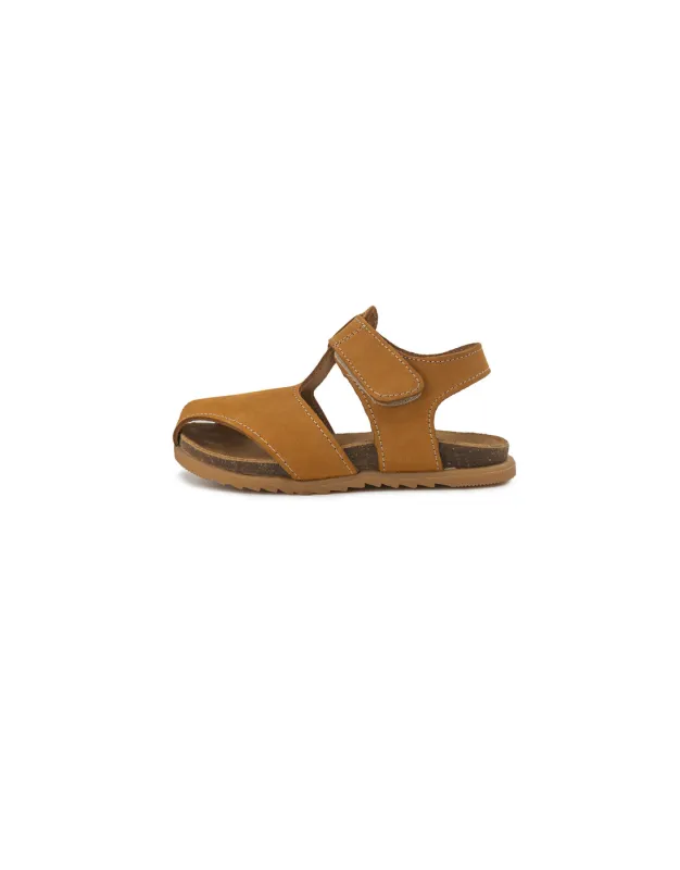 BFL 24-2182 K CAMEL