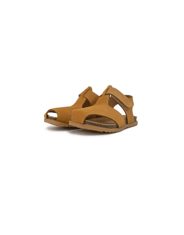 BFL 24-2182 K CAMEL