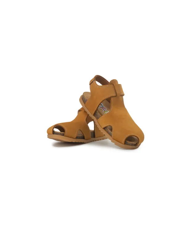 BFL 24-2182 K CAMEL